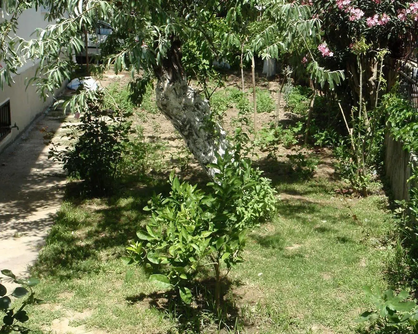 Liman Hotel Kuşadası